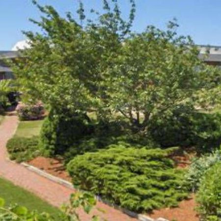 Resort & Conference Center At Hyannis Exterior photo